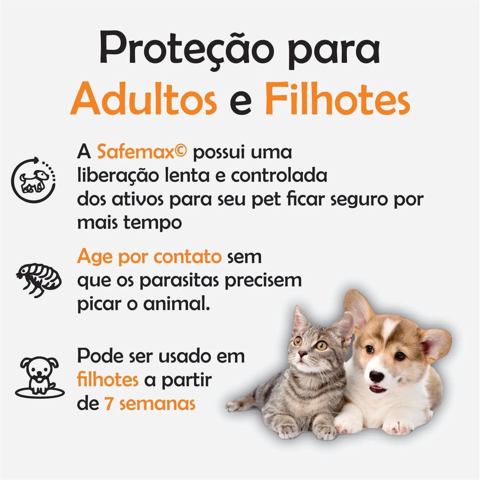 Coleira Antipulgas e Carrapatos - 8 Meses de Proteção - Image 2
